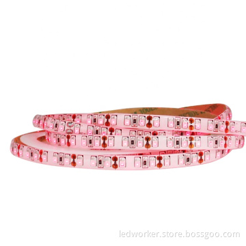 RGB LED Strip Lights with 5050 SMD and Multiple Wavelengths